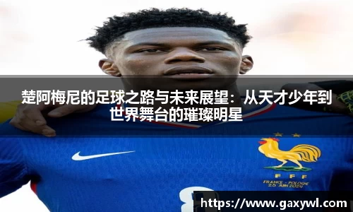 米兰体育