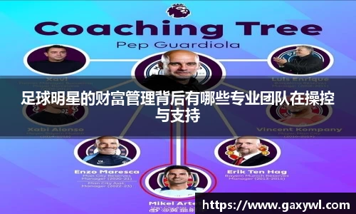 足球明星的财富管理背后有哪些专业团队在操控与支持